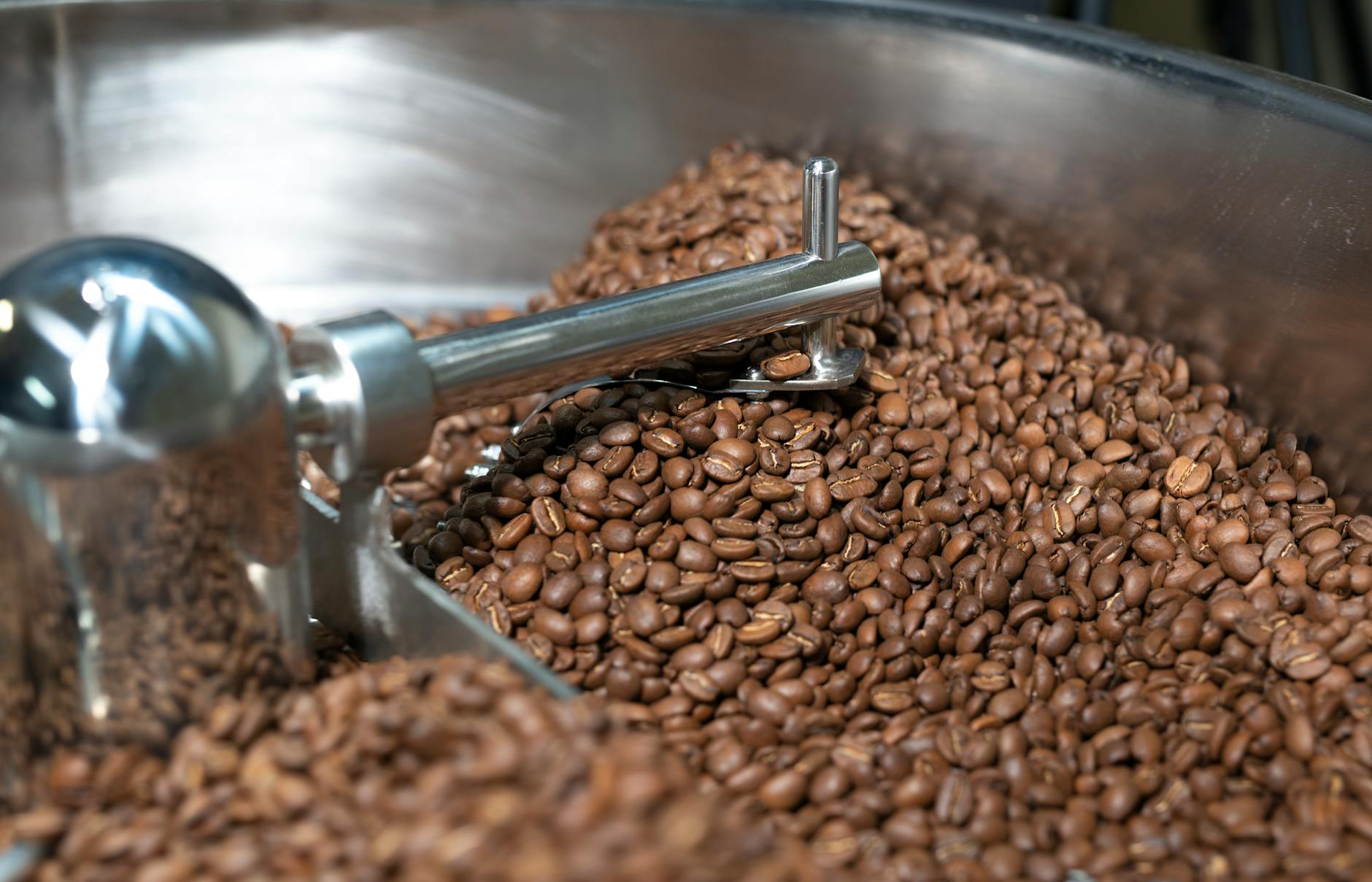Frisch geröstete fair-trade Kaffeebohnen